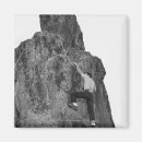 Pesquisar por de rock imas Diversão