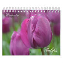 Pesquisar por tulipa calendarios Jardim