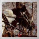 Pesquisar por cavalos pintados pôsteres Equino