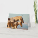 Pesquisar por cavalos selvagens mustang cartoes Vida selvagem