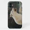 Pesquisar por lobos iphone capas Natureza