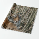 Pesquisar por tiger papel de presente Vida selvagem
