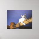 Pesquisar por olhos azuis impressão de canvas Animal