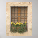 Pesquisar por janela pôsteres Flores