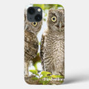 Pesquisar por screech Birding