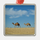 Pesquisar por camelo ornamentos Deserto