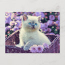 Pesquisar por fofinho cartoes postais Gatinho