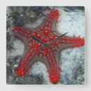 Pesquisar por areia da estrela mar relogios de parede Oceano