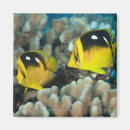 Pesquisar por animal selvagem imas Horizontal