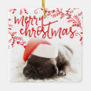 Pesquisar por touro vermelho ornamentos Cachorrinho