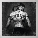 Pesquisar por thai pósteres pôsteres Boxe muay thai