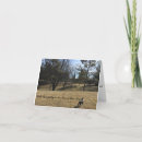 Pesquisar por boss cartoes Cão