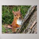 Pesquisar por photography pôsteres Print