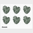 Pesquisar por monstera adesivos Tropicais