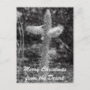 Pesquisar por cacti cartoes Arizona