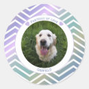 Pesquisar por foto animal adesivos For her
