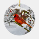 Pesquisar por cardinal ornamentos Flocos de neve