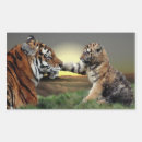 Pesquisar por filhote de tigre Siberiano