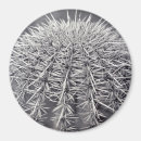 Pesquisar por sonora imas Deserto