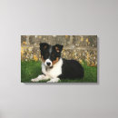 Pesquisar por border collie impressão de canvas Filhote de cachorro