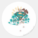 Pesquisar por supergirl adesivos Crípton
