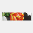 Pesquisar por tulips adesivos carros Floral