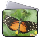 Pesquisar por borboleta tropical capas Animais