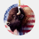 Pesquisar por bandeira dos estados unidos ornamentos Sinalizador