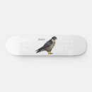 Pesquisar por falcão skates Raptor