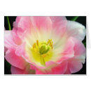 Pesquisar por rosa chocante Flores