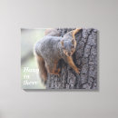 Pesquisar por bonitos impressão de canvas Fotos