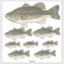 Pesquisar por baixo corte Pesca