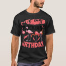 Pesquisar por surpresa do aniversário camisetas Natal