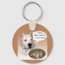 Pesquisar por argentinos chaveiros Dogo argentino
