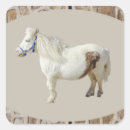 Pesquisar por miniaturas adesivos For kids