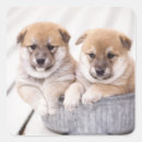 Pesquisar por banheiro adesivos Banheira