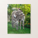 Pesquisar por burro quebra cabecas Natureza