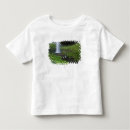 Pesquisar por verde musgo camisetas Eua