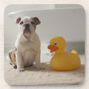 Pesquisar por pato porta copos Banheira
