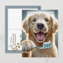 Pesquisar por lembrete veterinário Cão