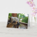 Pesquisar por amantes na cama cartoes postais Cãozinho