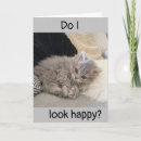 Pesquisar por infeliz cartoes Fotografia