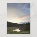 Pesquisar por outdoors cartoes postais Tree