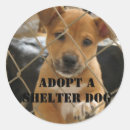 Pesquisar por adote adesivos Filhote de cachorro