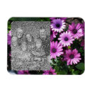 Pesquisar por foto da natureza imas Flor