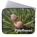 Pesquisar por pinho capas Pinheiro