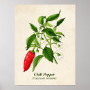 Pesquisar por chili pôsteres Vegetal