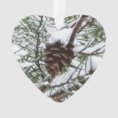 Pesquisar por pine cone ornamentos Inverno