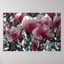 Pesquisar por flores cor de rosa na árvore pôsteres Qualquer pessoa