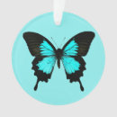 Pesquisar por borboleta azul ornamentos Inseto